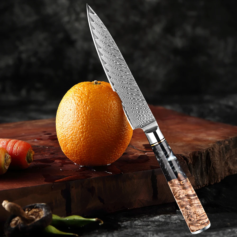 

Kitchen Utility Knife 5 inch Damascus Small Chef Knife 67-Layer Damascus VG10 Steel Ultra Sharp Paring Knife with Fine Handle