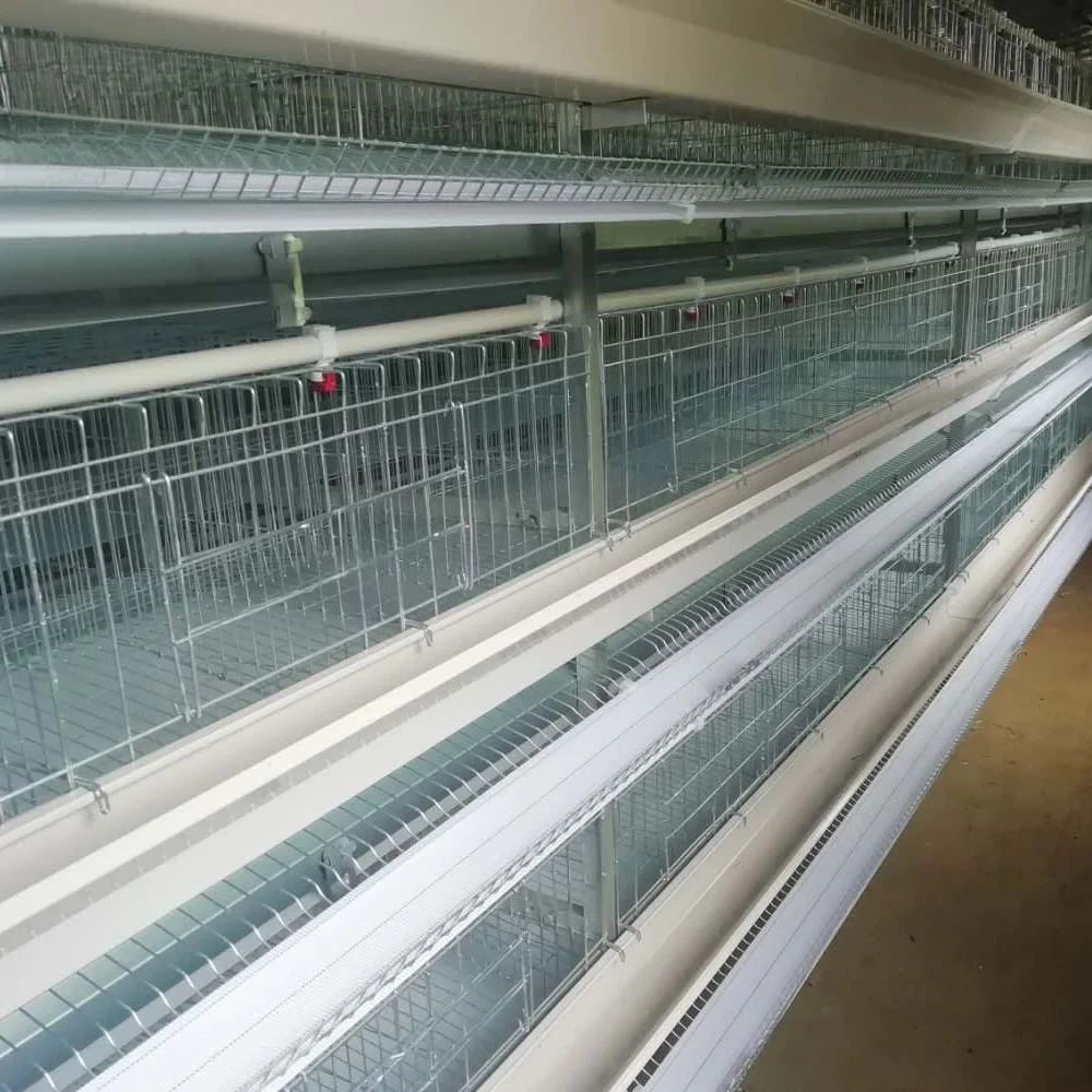 Typ Schicht-Hühnerkäfig zum Verkauf in Pakistan