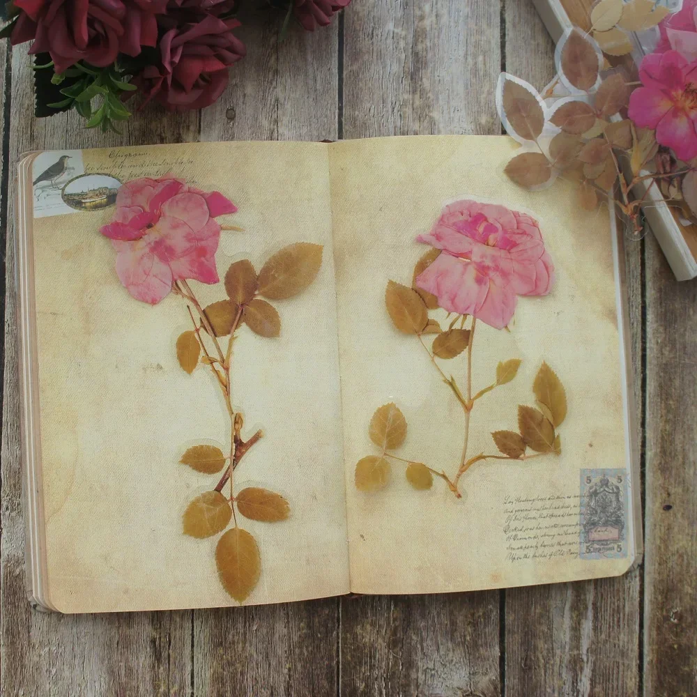 6pcs Big Size Natural Soft Pink Rose Flower Style PVC Transparent Sticker Scrapbooking DIY Gift Decoration Tag