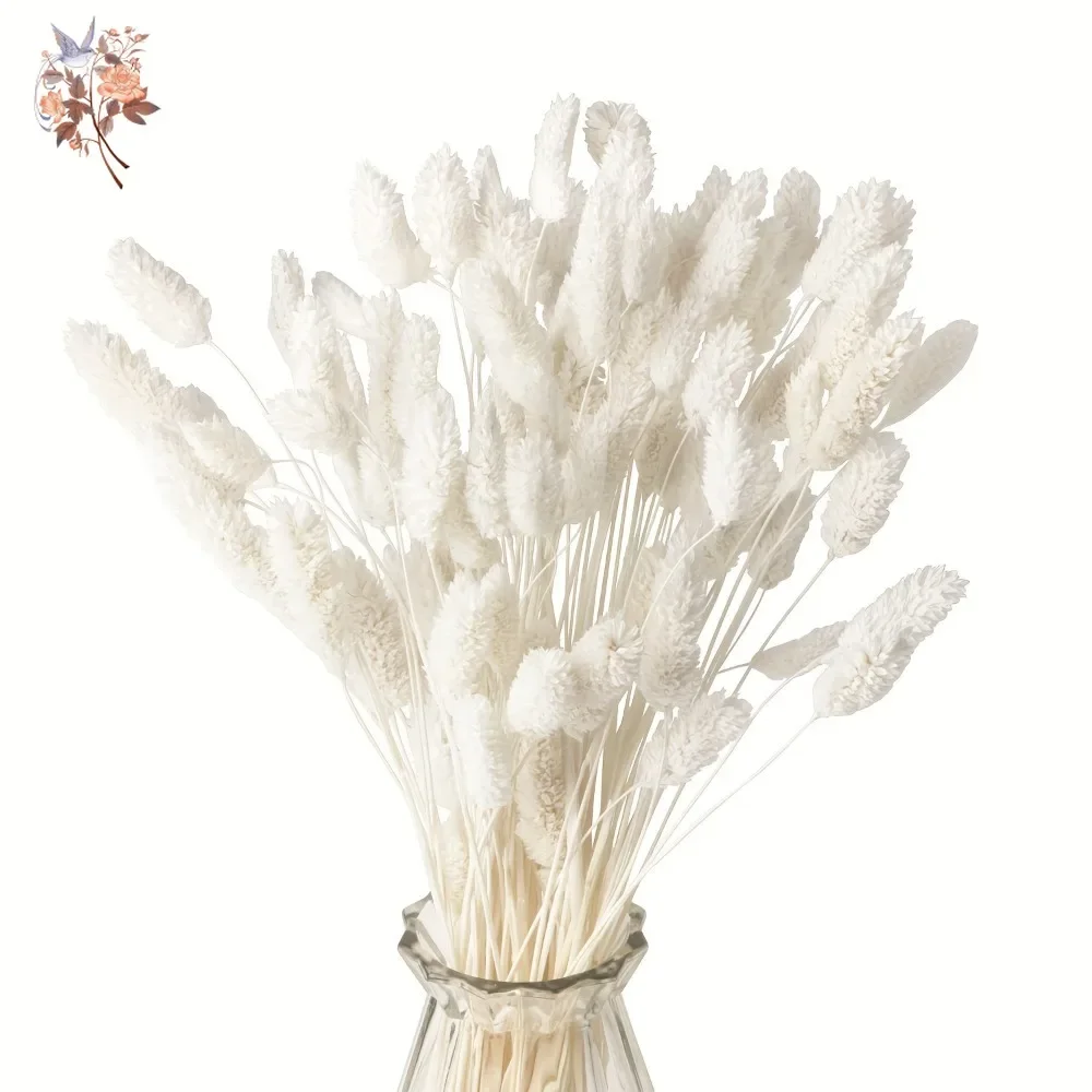 

100Pcs Eternal Dried Phalaris Gem Grass Bouquet Decor Natural Fluffy Pampas Wedding Flower Arrangement for Home Table Decoration