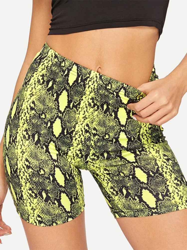 Shorts de cintura alta com cobra para mulheres, cintura elástica, sexy, novo design verão