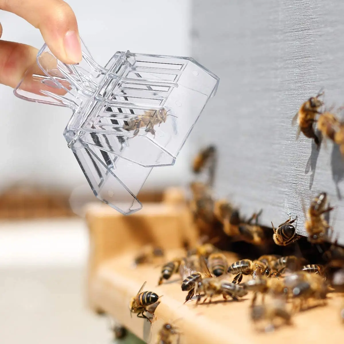 Klatka dla pszczół Bee Queen Catcher bezbarwny plastikowy klatka na królową klip pokój izolacyjny sprzęt pszczelarski narzędzia pszczelarskie