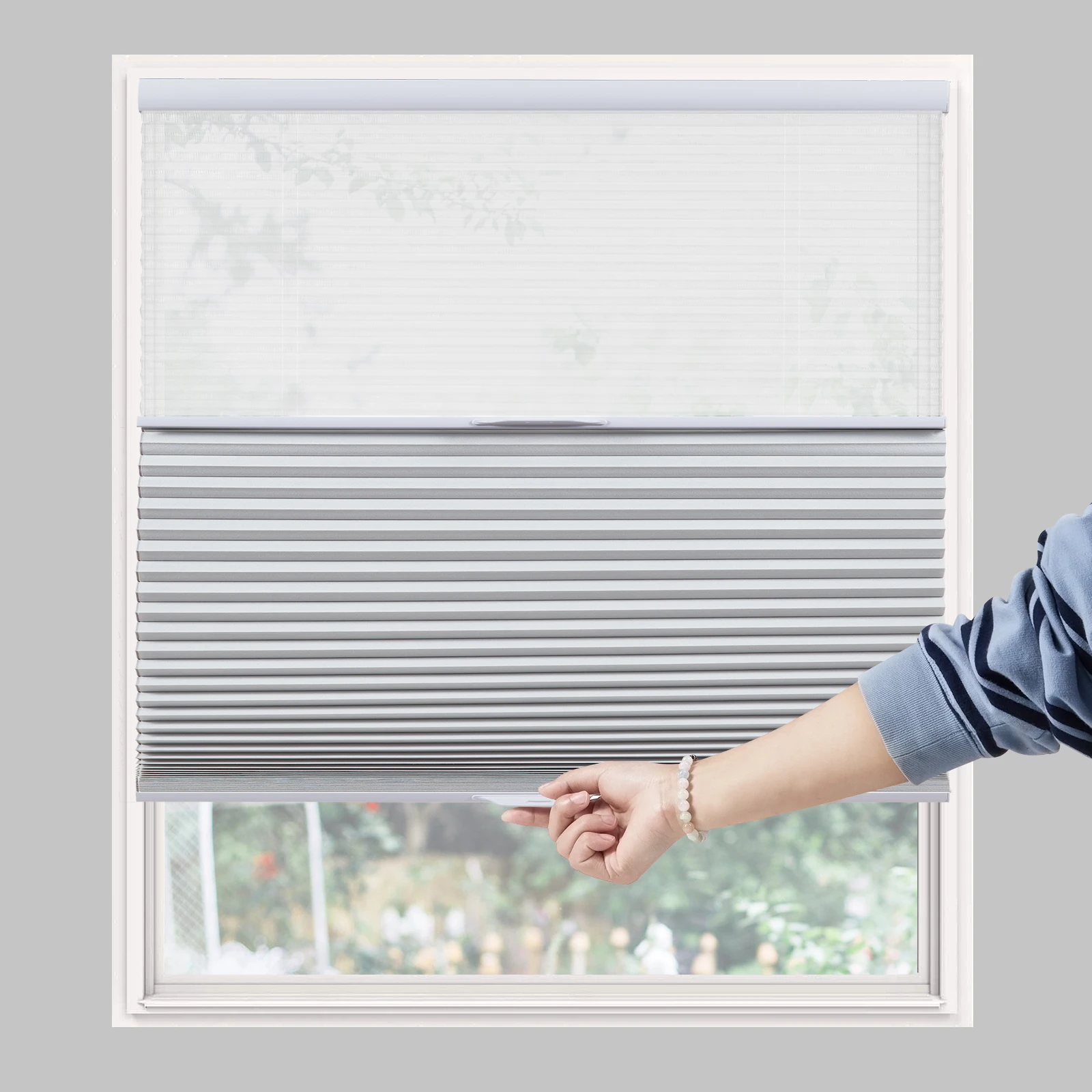 Persilux Day/Night Cellular Shs, Blackout Top Down Bottom Up Honeycomb Blinds for Windows, Cordless Window Shs with Sheer