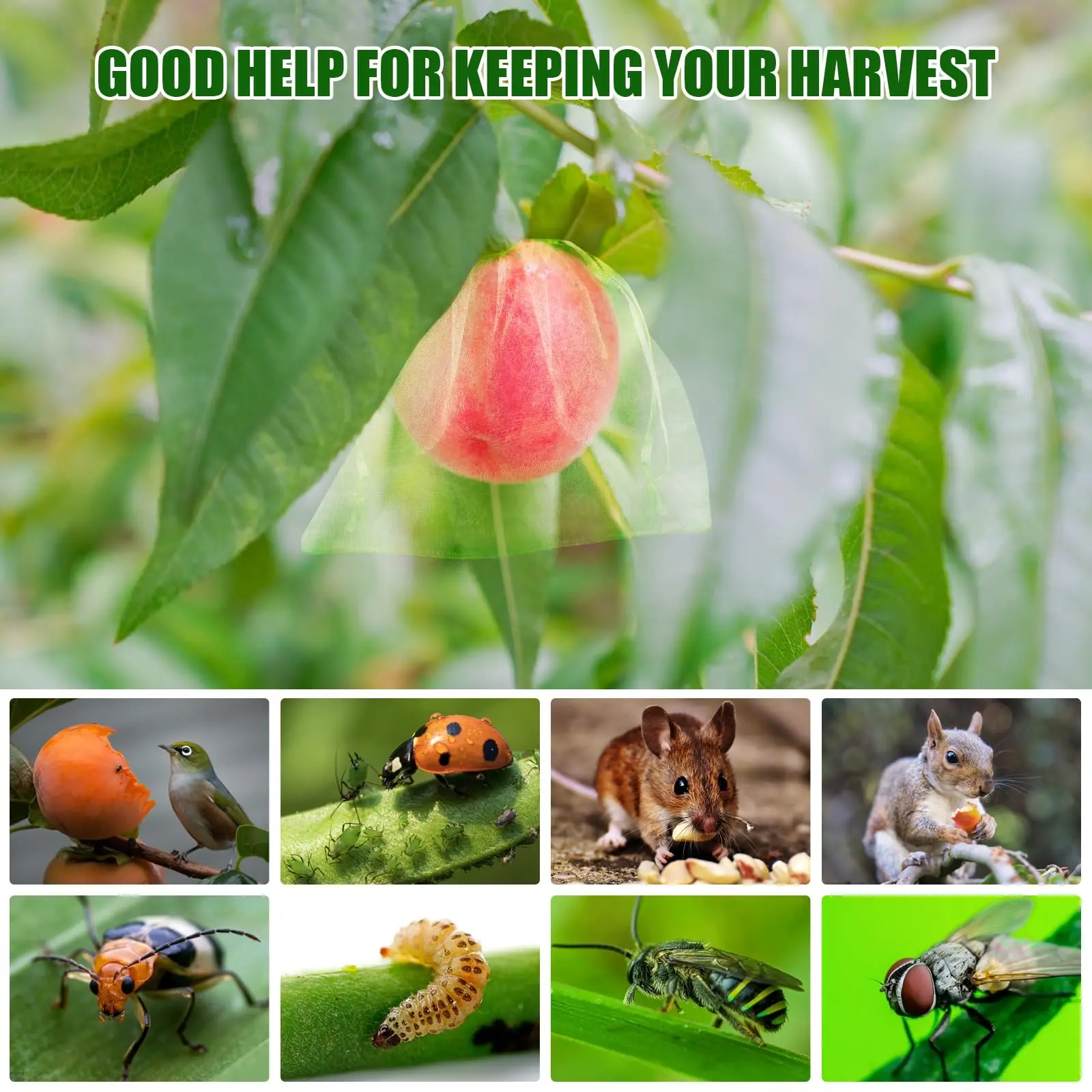2026 New Fruit Protection Netting Bags Anti-Bird Mesh Cover Plant Grow Bags for Strawberry Grape Vegetable Garden Tools view 4