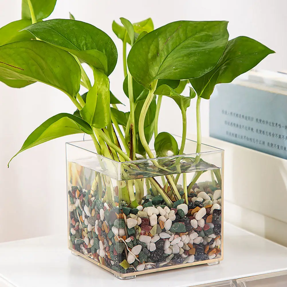 2Pcs Hydroponic Succulent Plant Vessel Transparent Desktop Large Capacity DIY Ecological Terrarium Container Empty Terrarium