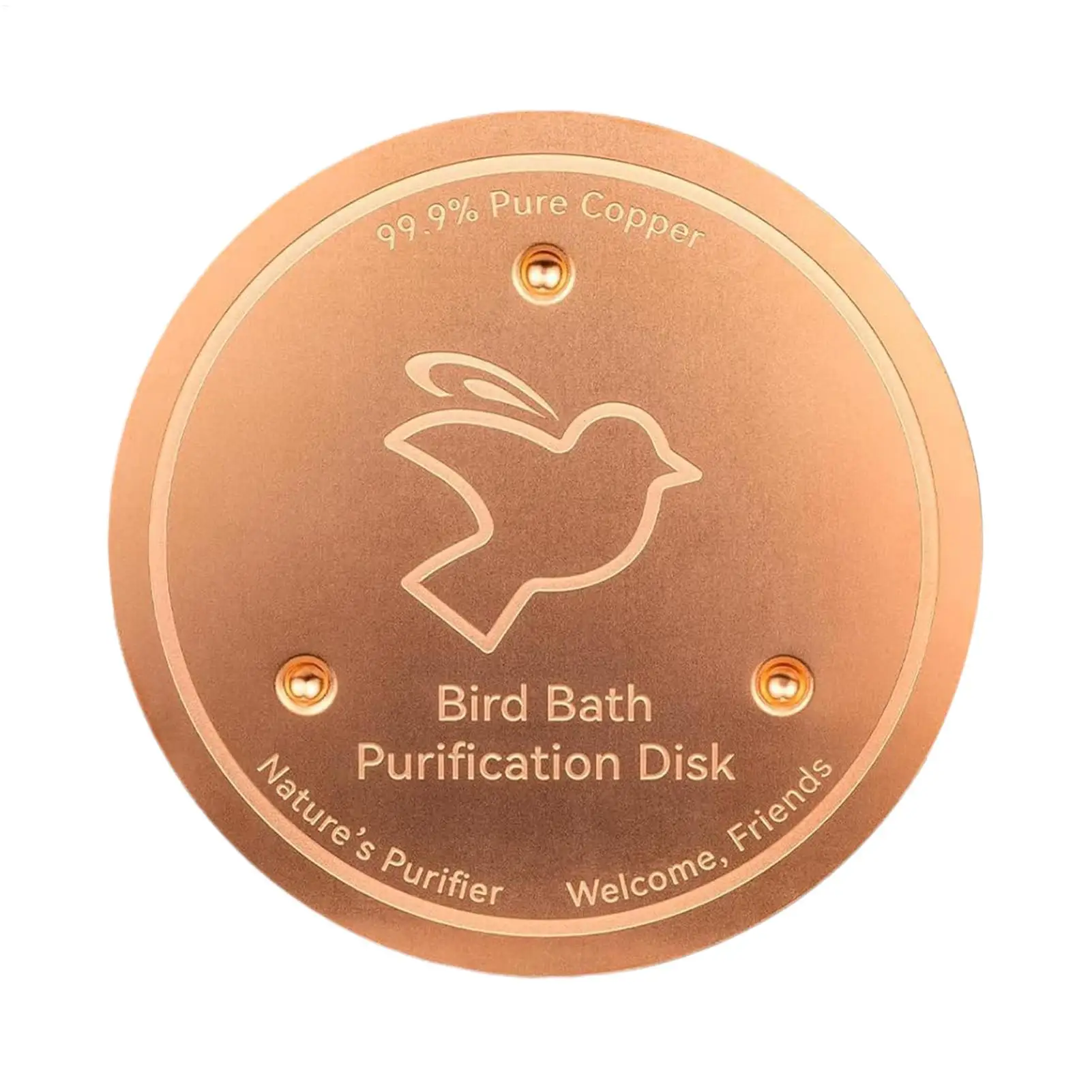Thumbnail 2 - #2 Best Rated Bird Baths to Buy in 2026