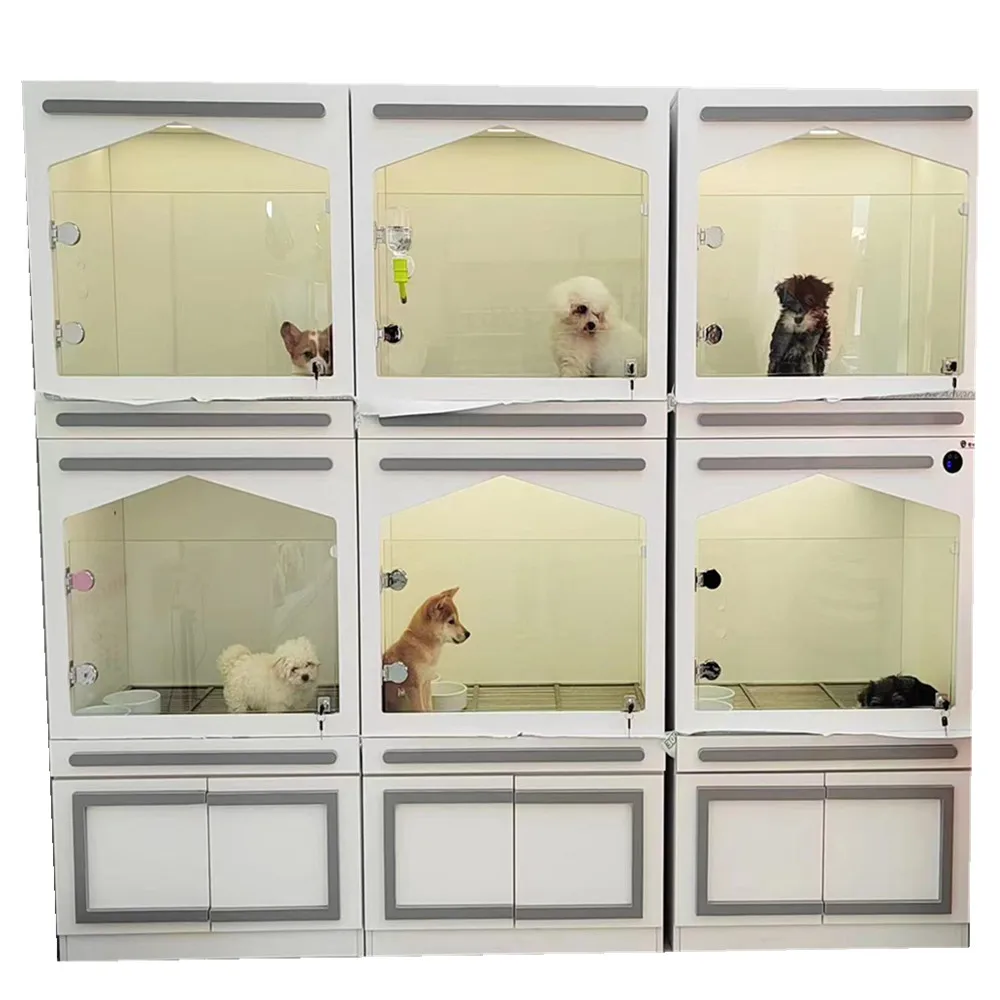 Commercial Luxury Small Dog House with Waterproof Feature Indoor Pet Grooming Shop Dog Cage Kennel Customize Colors Available