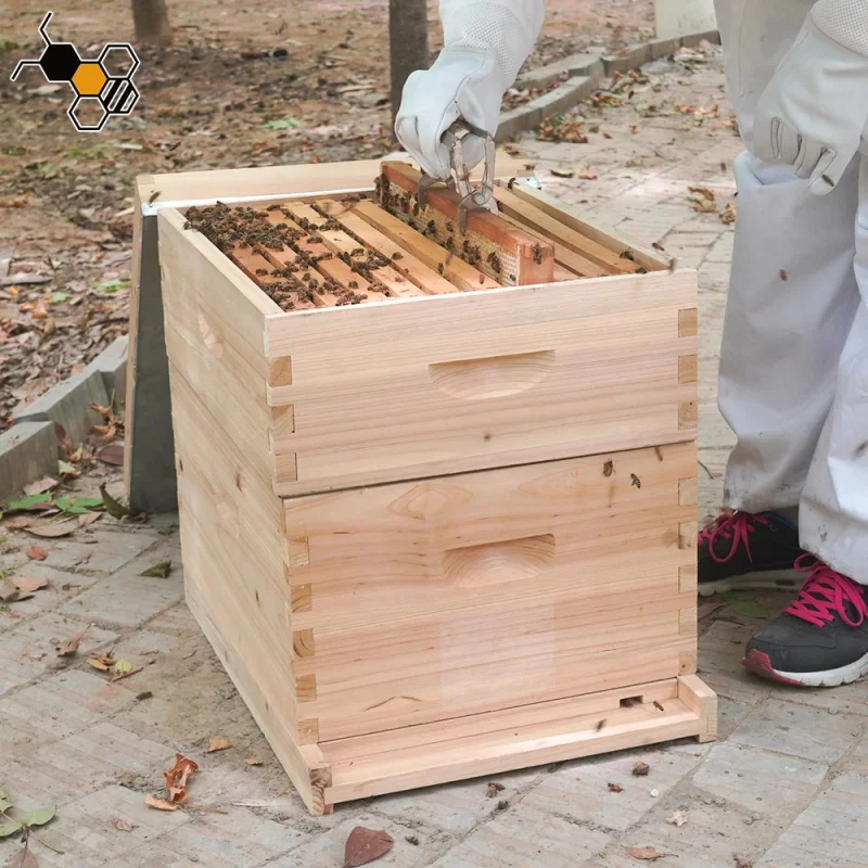 New Multi-Sweet Wood Beehive 10-Frame Beekeeping Equipment
