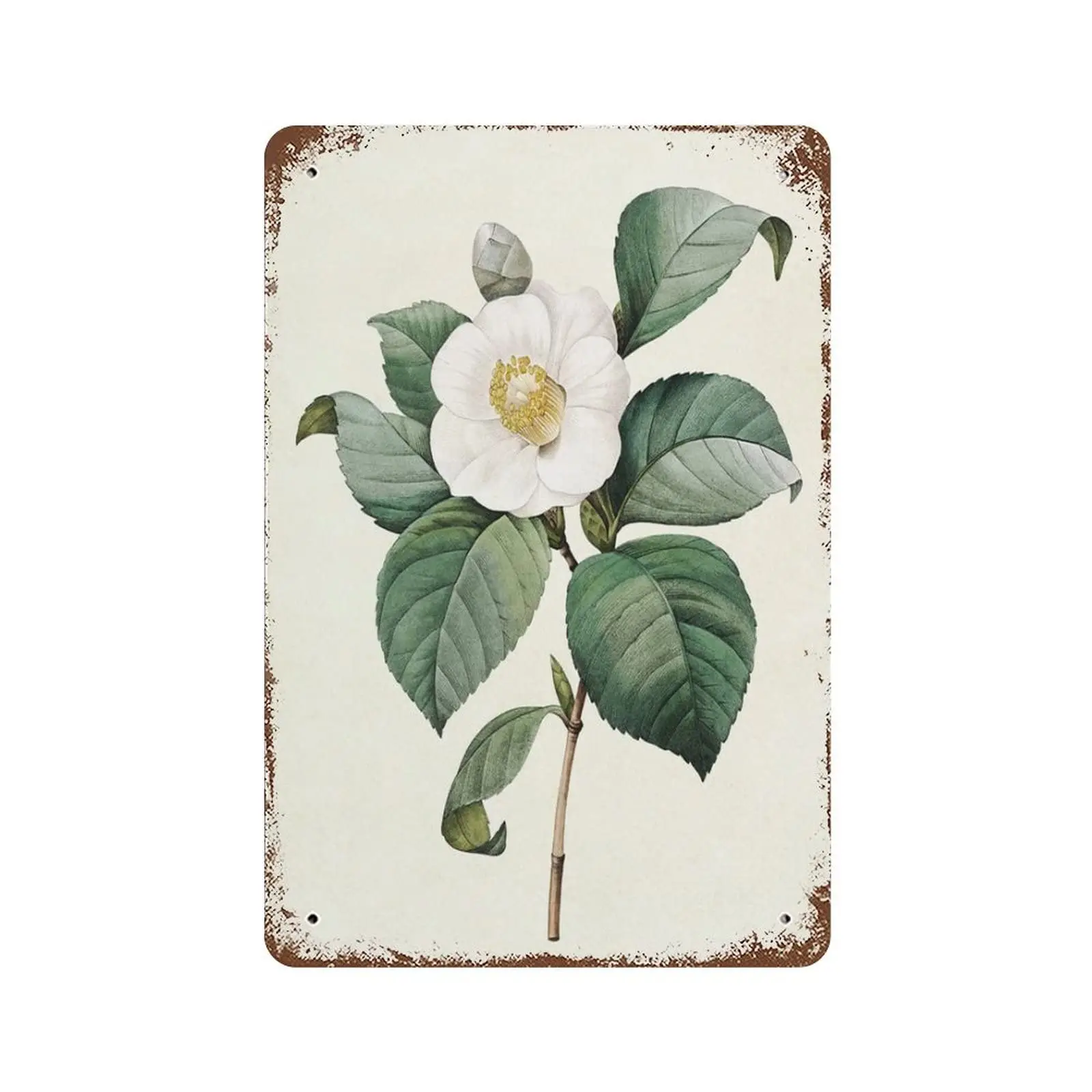 VIOFLOW Vintage Metal Tin Sign Flower White Camellia Botanical Valentine's Day Sign Funny Novelty Kitchen Bar Club Garage Ga