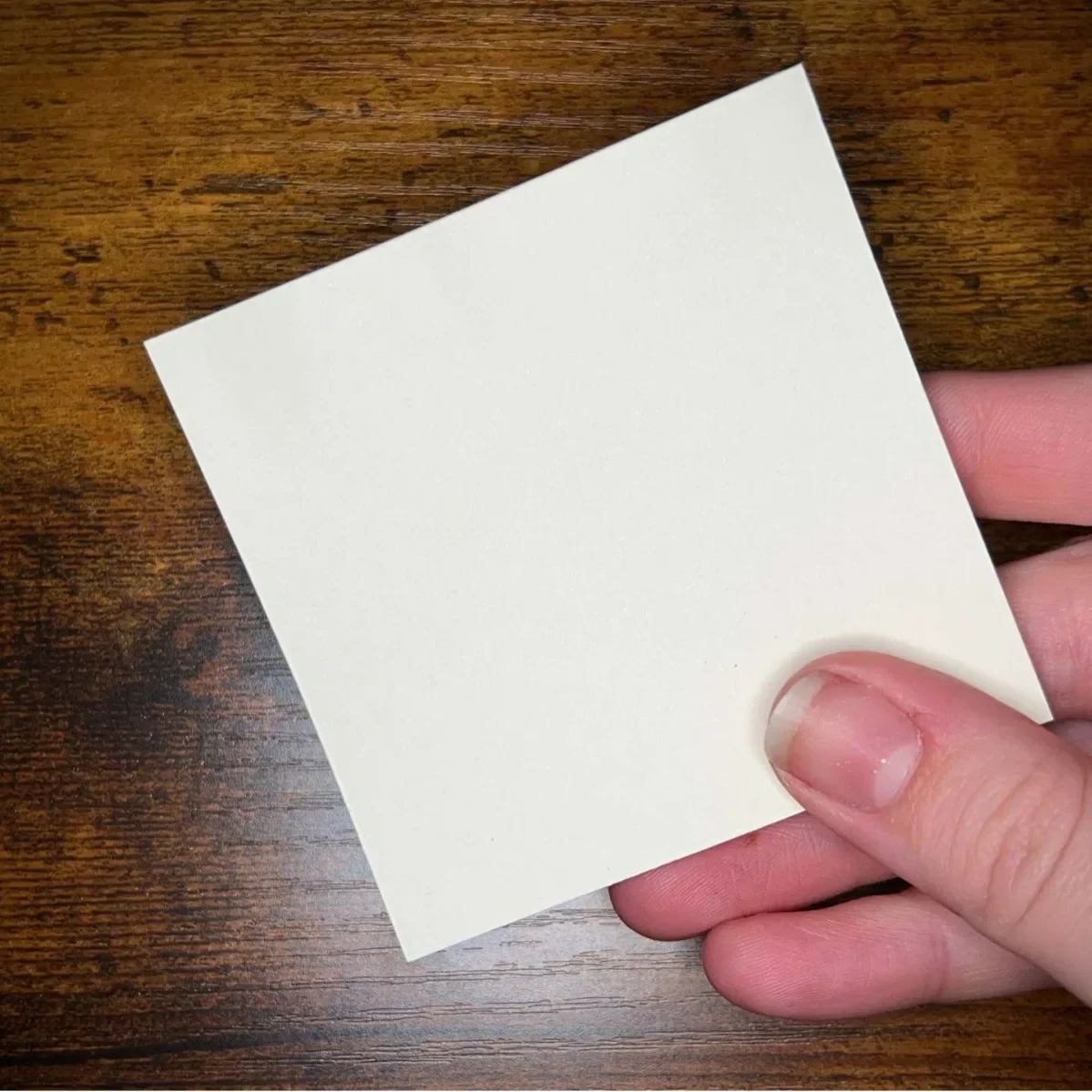 Funny Sassy Duck Sticky Notes Duck Sticky Notes Creative Gift Decoration