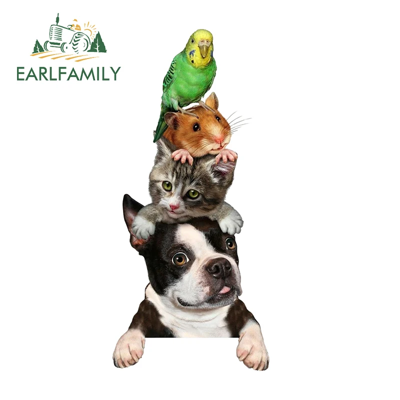 EARLFAMILY Adorable Pets Peekers Car Stickers Eye-catching Cat Dog Bird Mouse Decals Creative Car Accessoires Occlusion Scratch