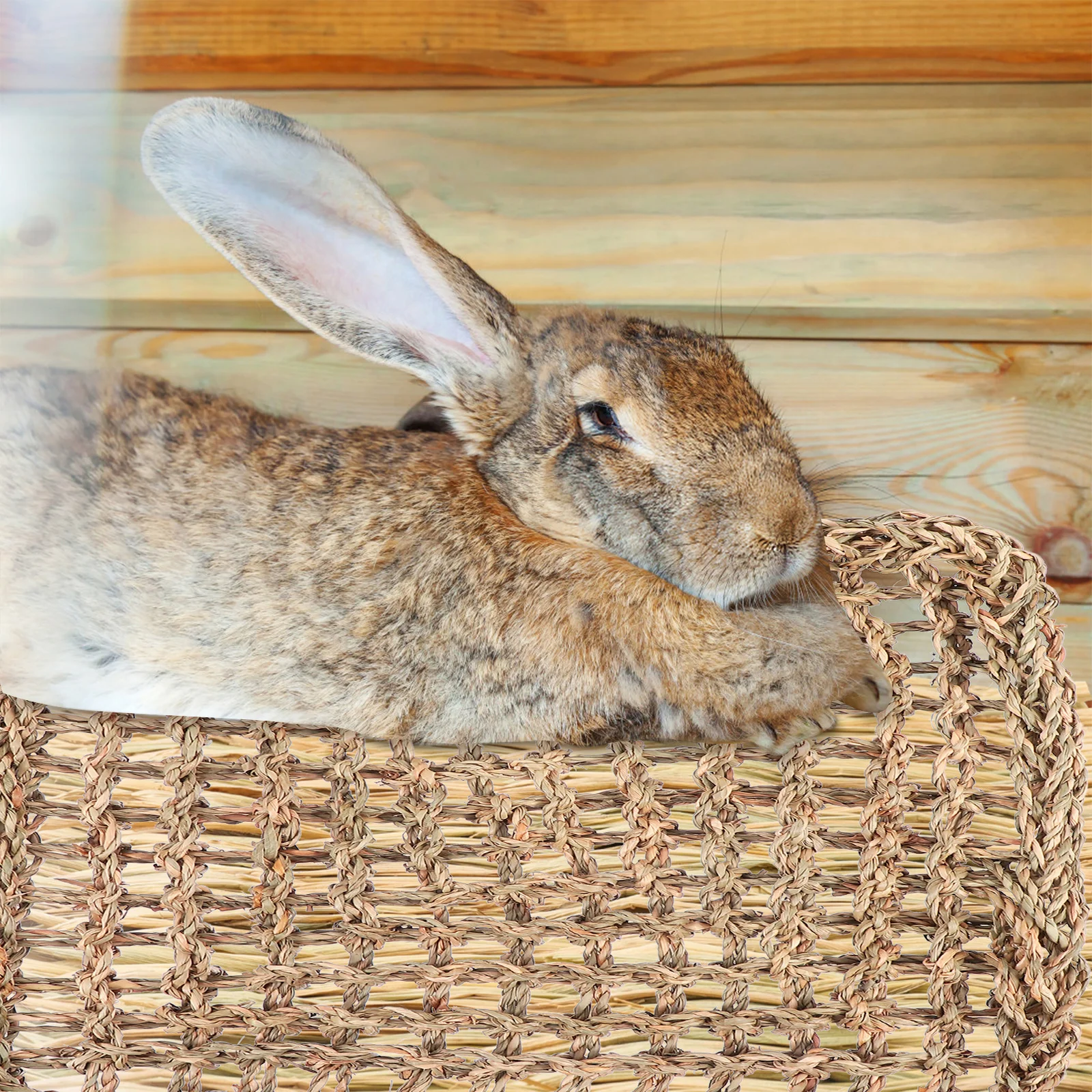 

2pcs Pet Rabbit Guinea Rabbit Nest Pig Hamster Squirrel Woven Chew Natural Hamster Mat Durable Cage Bedding Play Mat