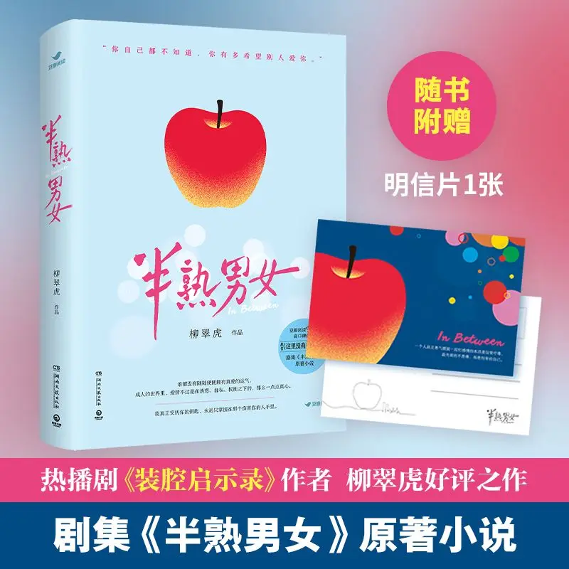 In Between Modern Urban Romance Novel, Original Book Of Hit TV Series, Comes With Matching Postcard Gift