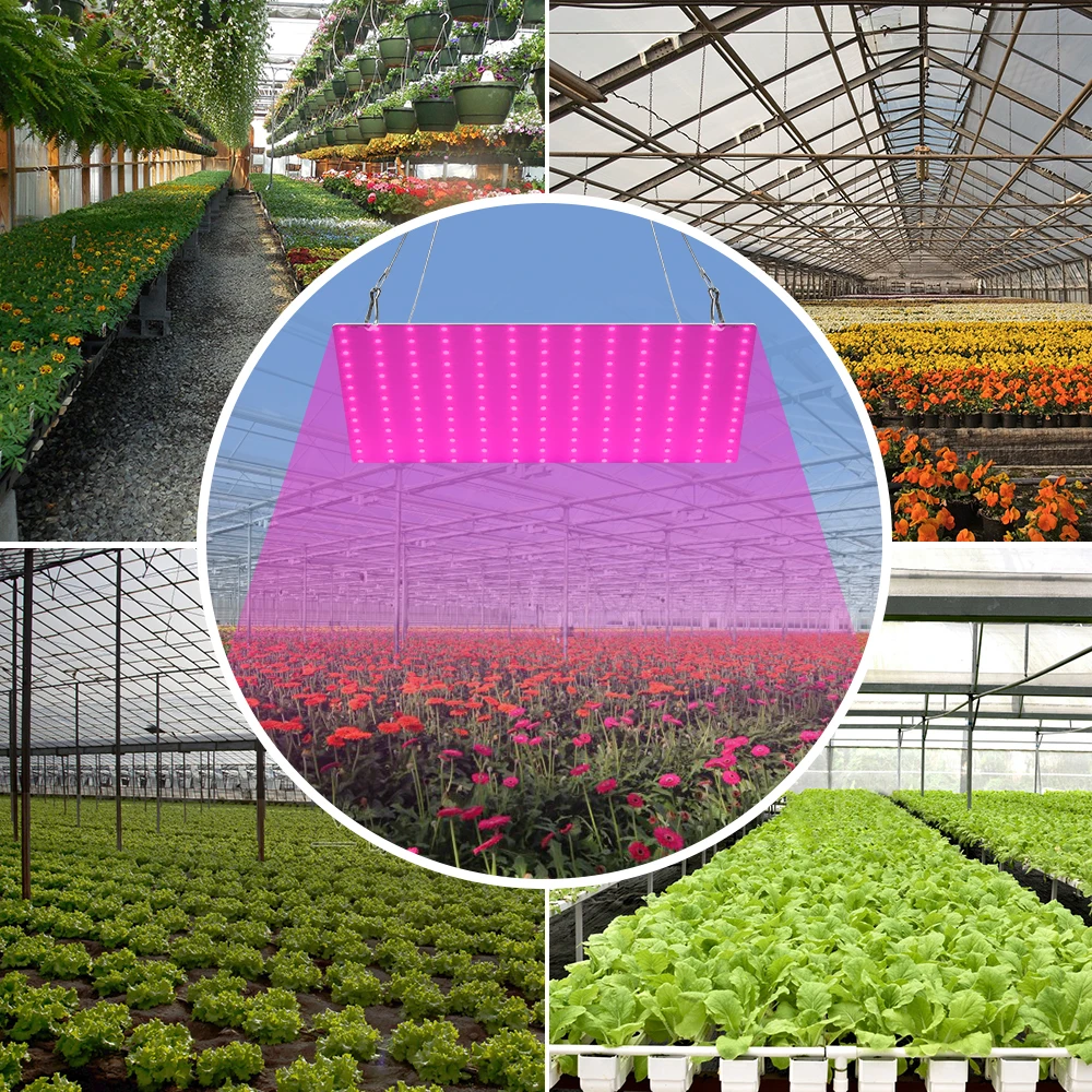 LED Quantum Board Plant Grow Lights Full Spectrum Indoor Flower Hydroponics Greenhouse Tent Vegetables Potted Plants Cultivation