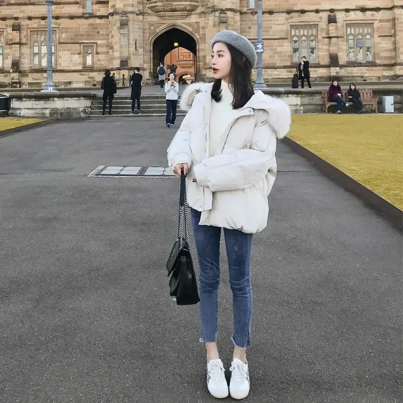 New Fashion Simple Cotton Dress Women's Korean Version Loose Breadmaker Student Cotton Coat Short Down Cotton Coat Winter Coat