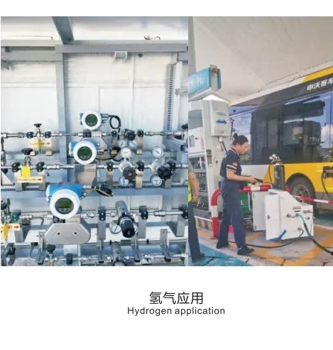 Original Customized Coriolis Mass Flow Meter Stainless Steel Construction Measures Air Medium LCD Display for Liquid OEM Support