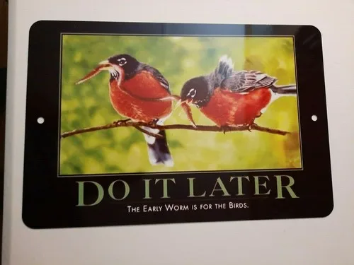 Do it Later The Early Worm is for Birds Funny  Metal Wall Sign