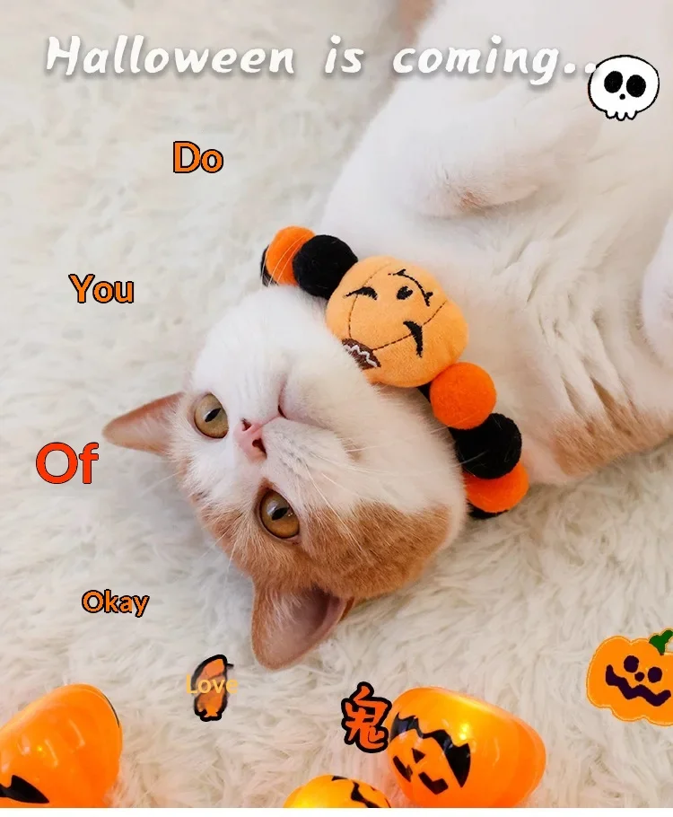 https://ae-pic-a1.aliexpress-media.com/kf/Sbc062c6e58564399862c85e63f11f82bd.jpg