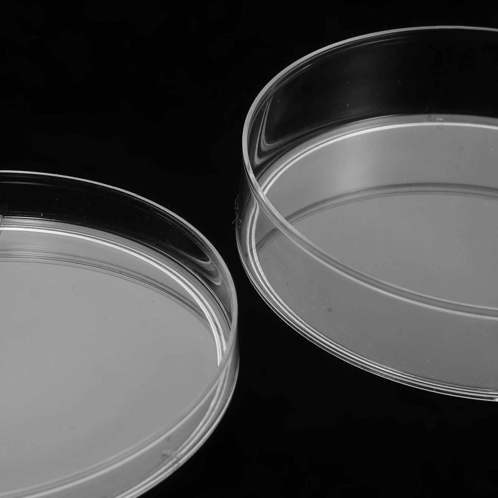 

Laboratory Tray 6cm Petri Dish Culture Plates with Lid Clamp Square Holder Round
