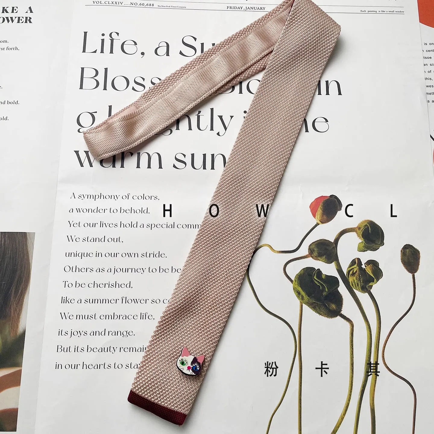 Men and Women Versatile Tie Knitted Color Matching Personality Self-created Solid Color Kitten Necktie