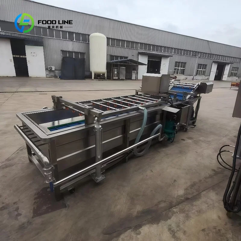 Customized Full Automatic Fruit & Vegetable Bubble Washing Cleaning Machine with Engine & Motor Stainless Steel 304 CE Certified