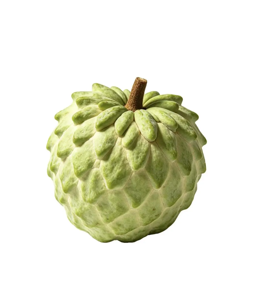 

Ссылка для оплаты за поврежденные детали