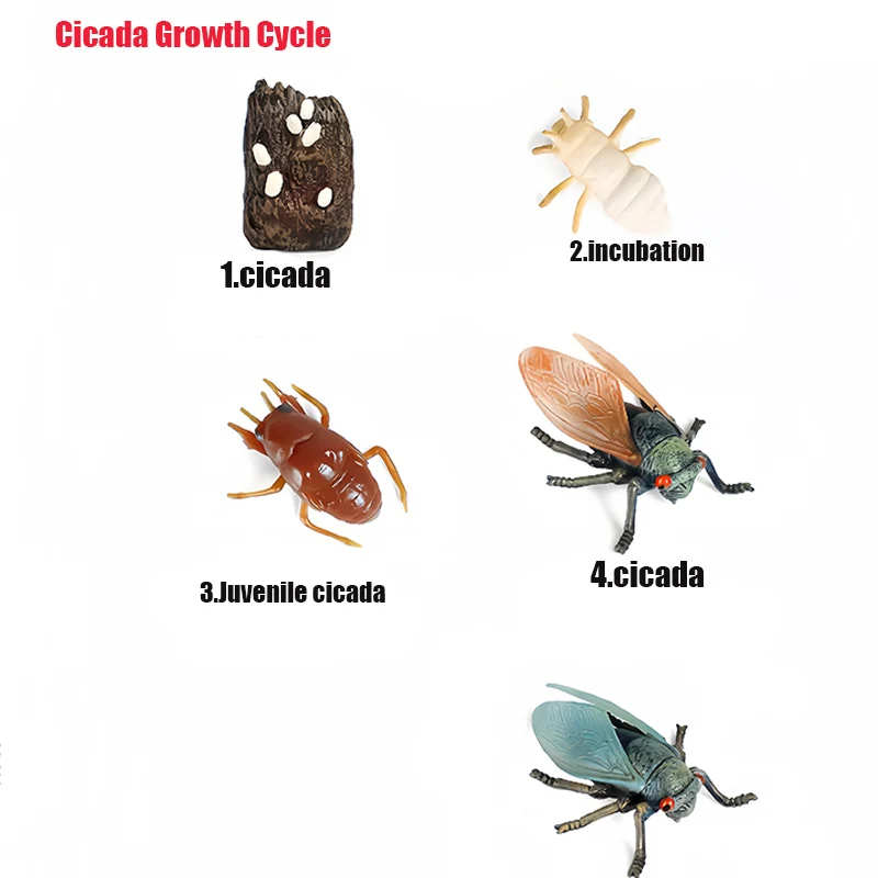 Children's Realisti…