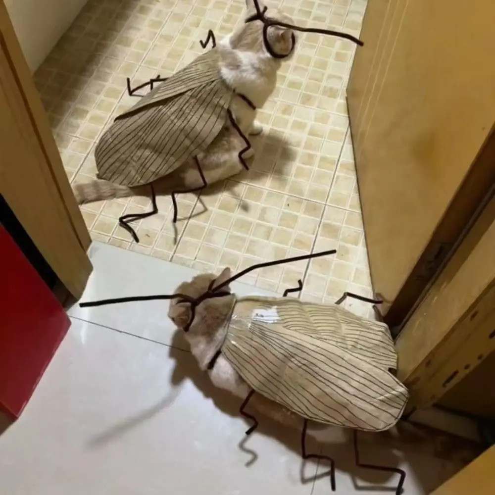 

Creative Cat Cosplay Cockroach Costume Cartoon Funny Cat Transformation Costume Unfinished Cute Cat Clothes DIY Material Package