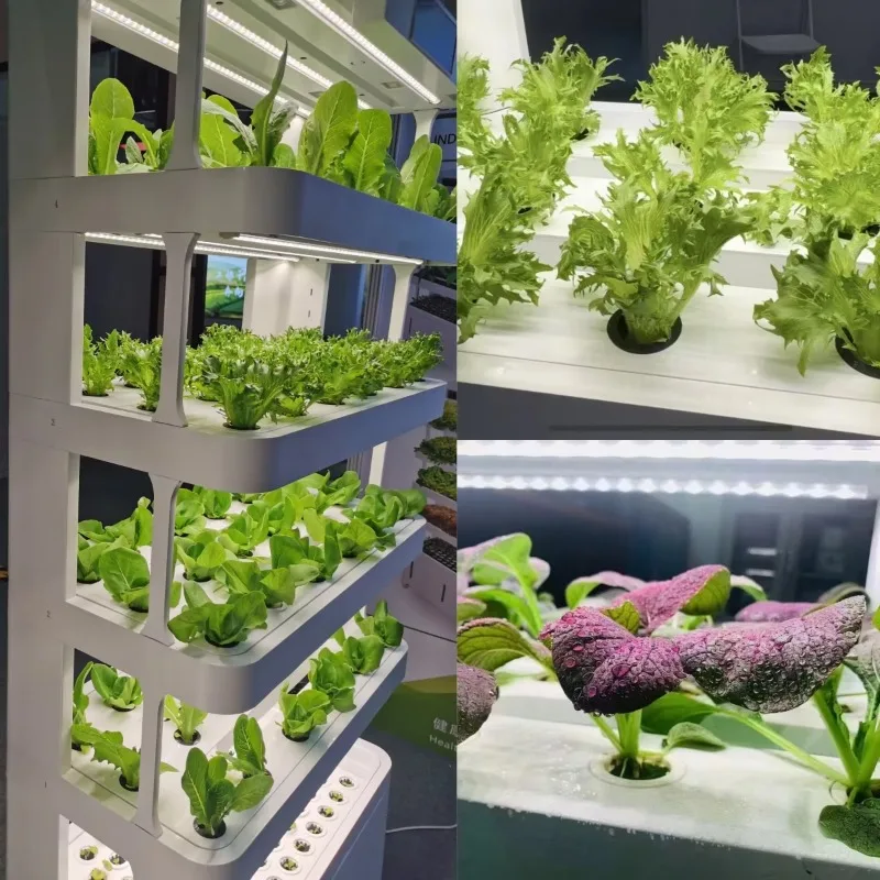 148 وعاءً نظامًا مائيًا زراعيًا ذكيًا جديدًا لزهور الخضروات