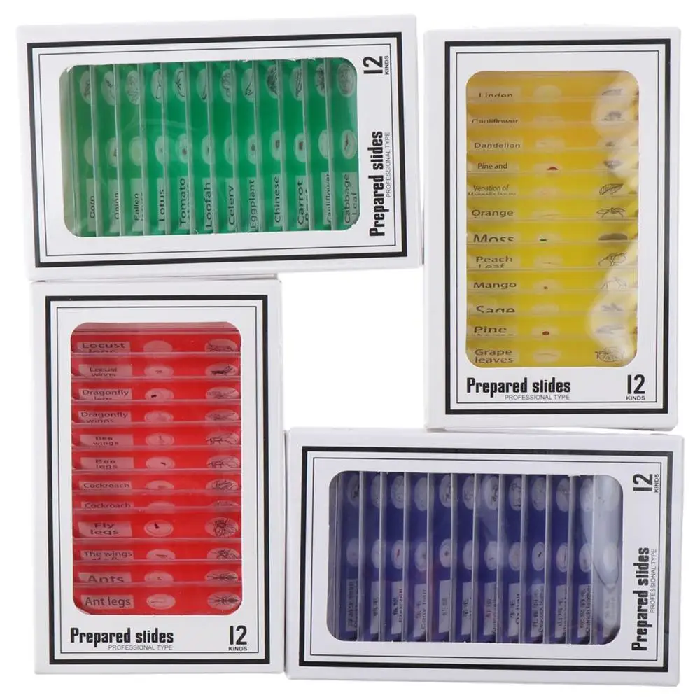 Prepared Microscope Slides for Kids, Plastic Animals Insects Plants Flowers Sample Specimens for Students Children