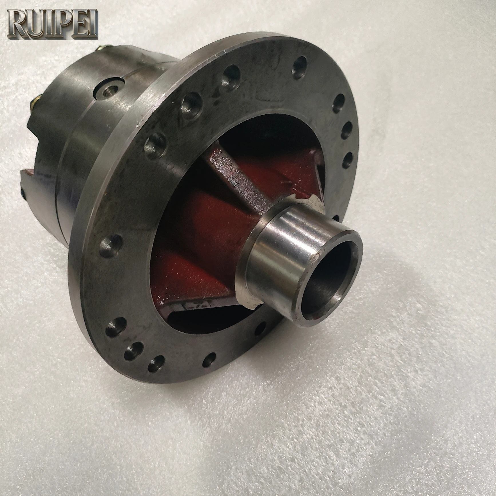 RUIPEI  835 Differential Assembly for Construction Machinery Spare Parts