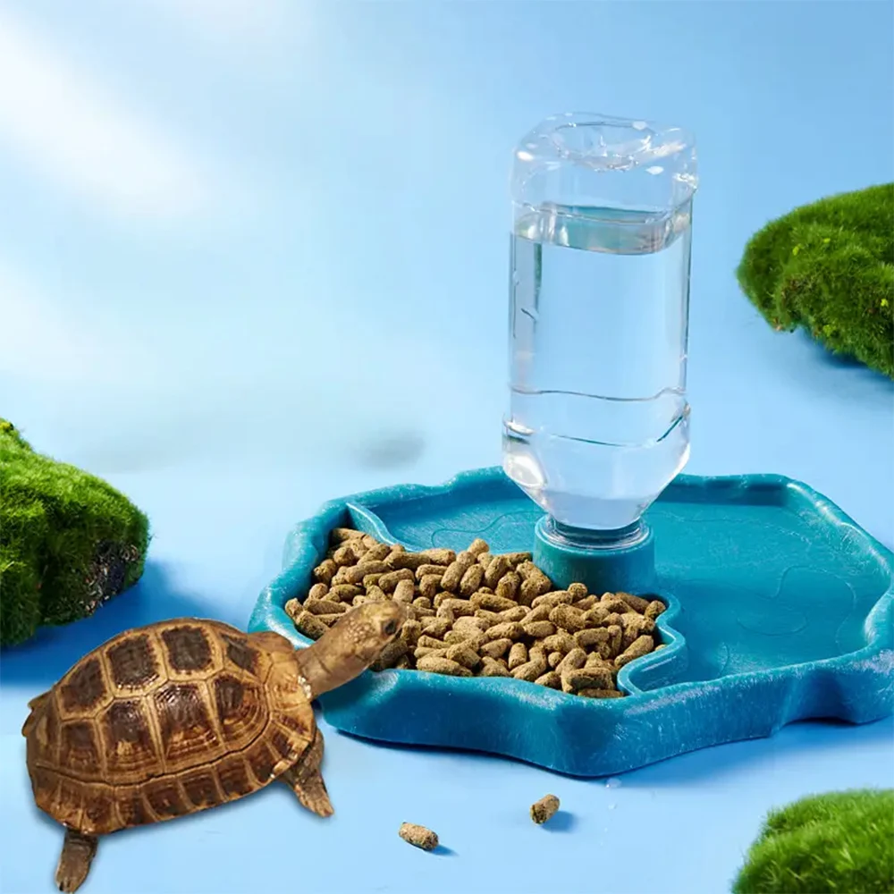 1pc - Reptile Feeder, Turtle Food Dish, Small Pet Bowl For Reptiles And Amphibians, Removable, Easy-Clean,Small Pet Supplies