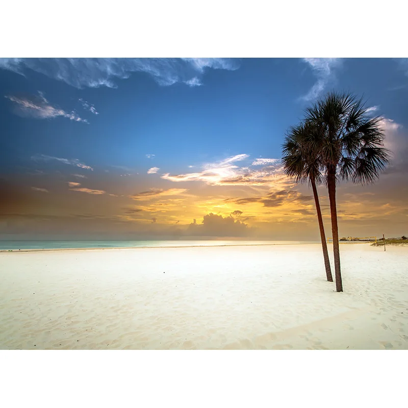 Summer Tropical Sea Beach Palms Tree Photography Background Natural Scenic Photo Backdrops Photograph Studio Props 21930 HJK-02