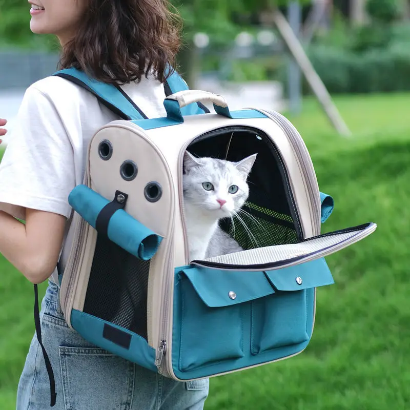 Imagem -02 - Pet Gato Mochila Portable Small Dogs Transportadora ao ar Livre Cat Travel Bolsa Design Ventilado Dobrável Grandes Gatos Cão Mochila Transportadora