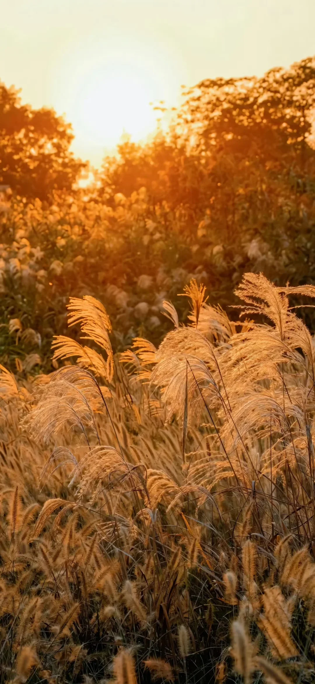 

13 Android For Range Rover Vogue L405 2013-2016 Car Radio Stereo Multimedia Player Carplay Head Unit Navigation