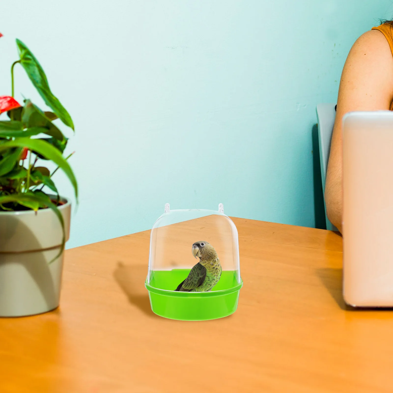 

Canary Parrot Bath Tub Bird Cage for Parakeet Bathtub Accessories Bathing Green Baths