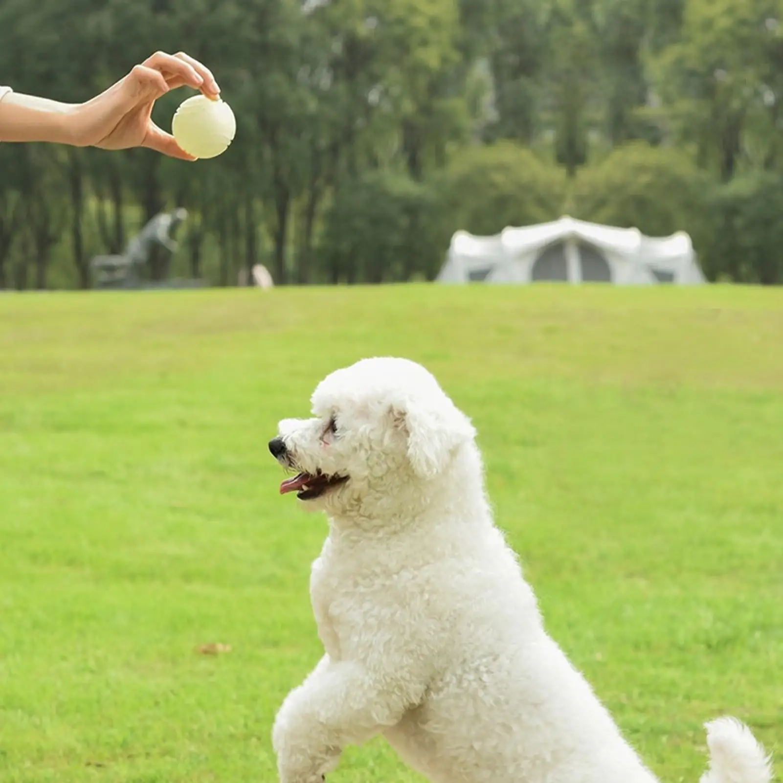 Hondenspeelgoedballen Glow-in- - Dog Rope Toy Aggressive Chewers recensie en prijs