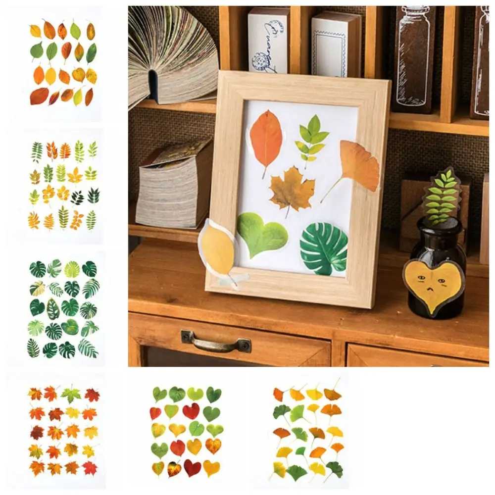 

40PCS Fallen Leaves Maple Leaves Leaf Stickers Nature Plant Scrapbook Stickers Waterproof INS Style Diary Stickers Album Journal