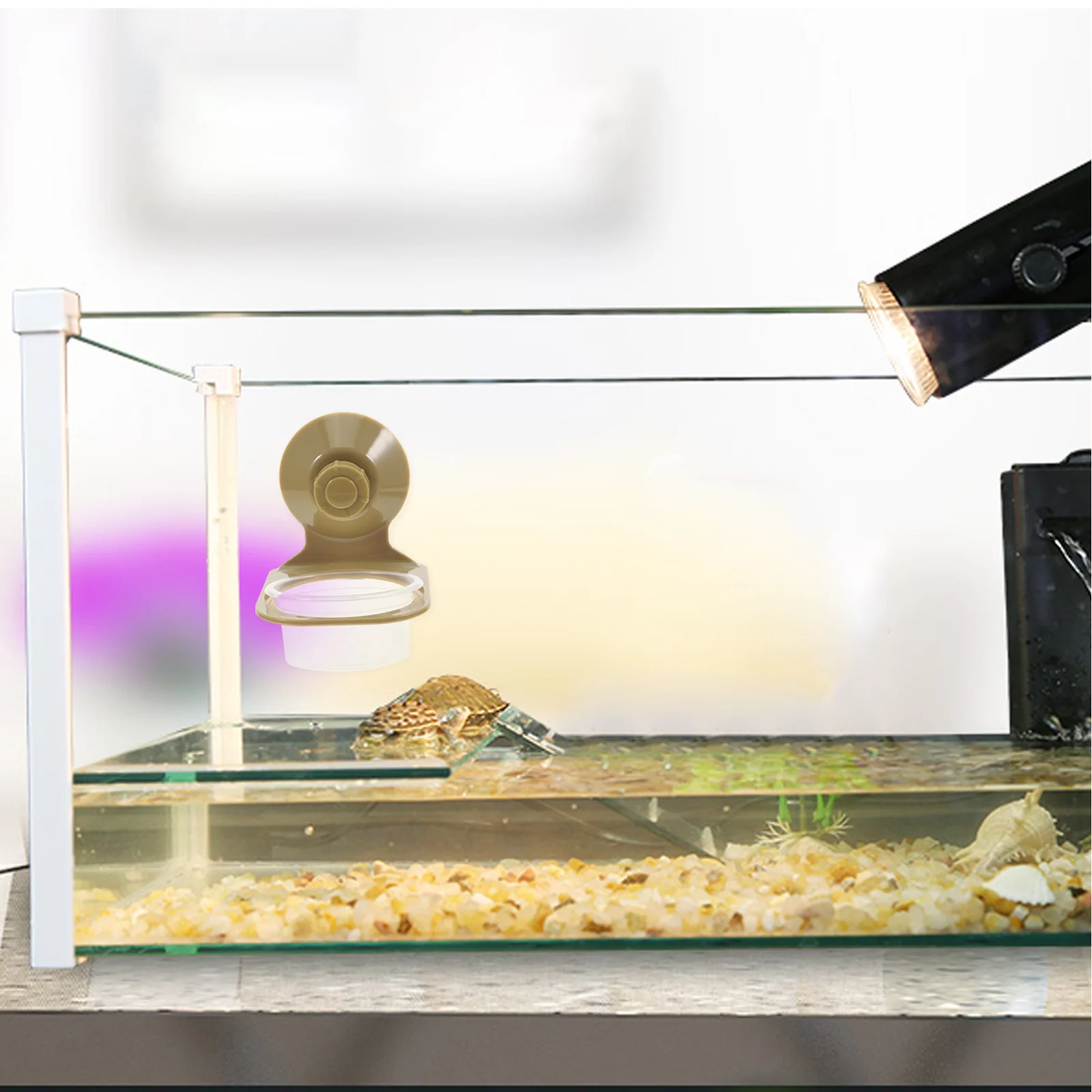 

Reptile Feeder Suction Cup Food Bowl Tortoise Dish Stable Food Water Container for Geckos Lizards Chameleons Tank