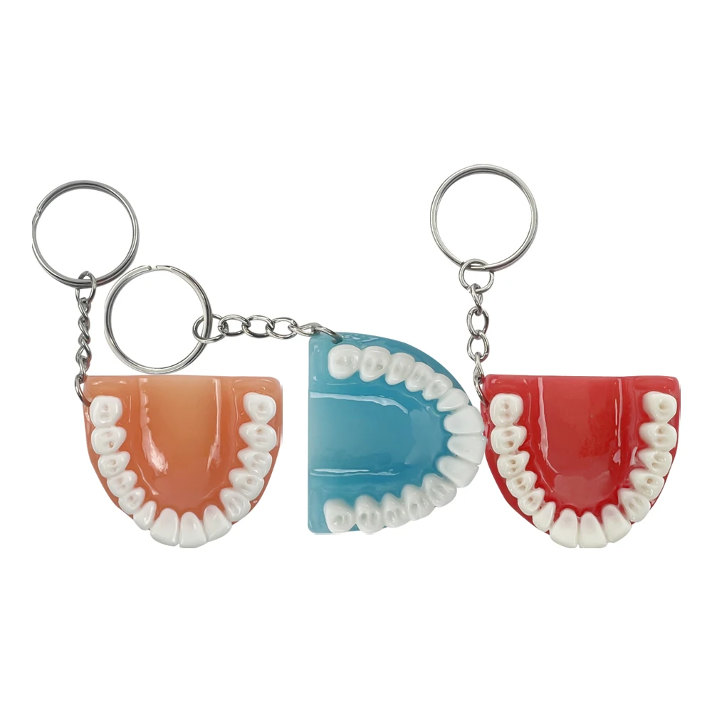 1Pcs Tooth Key Chain Mold Resin Jaw Model Denture Keyring Keychain Pendant For Bags Charm Clinic Gifts for Kids