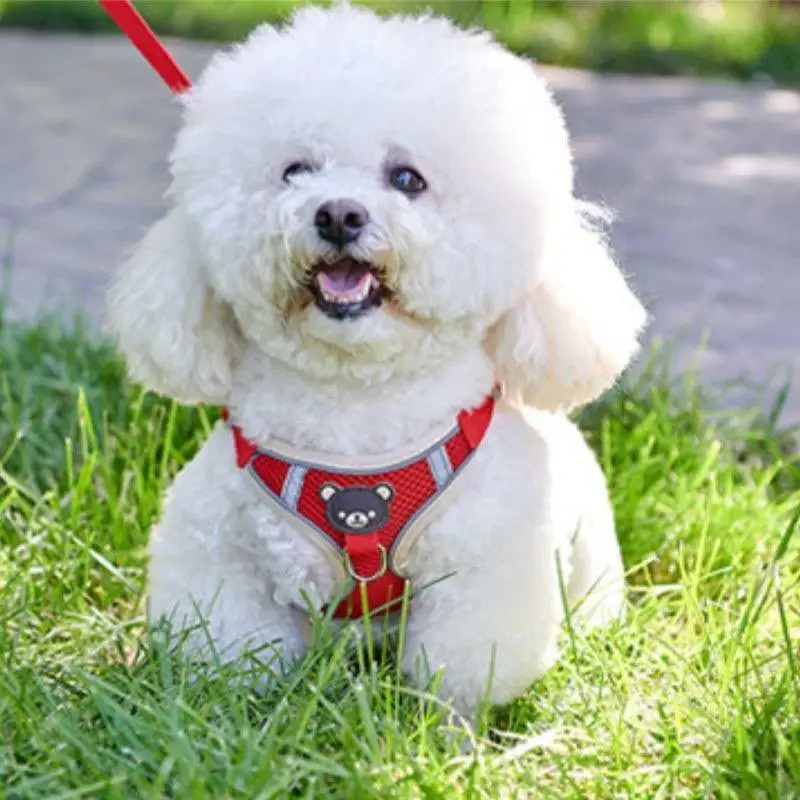 Pet Puppy Dog Harness and Leash Set for Small Reflective Dogs Traction Rope Retractable Cat Collars Traction Set Pet Accessories