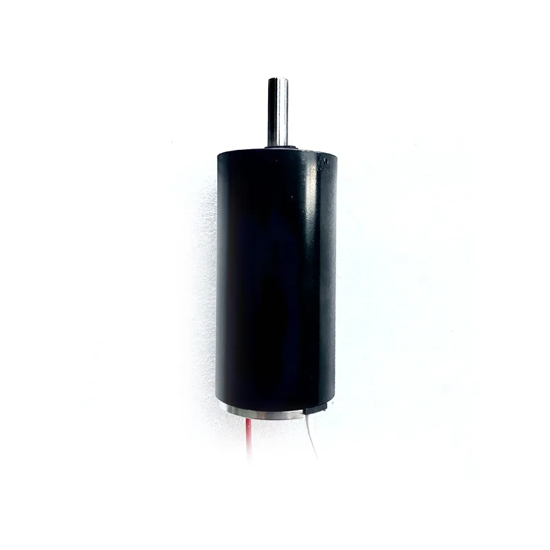 

DC Brushed Hollow Cup Fascia Gun Baler Motor Motor