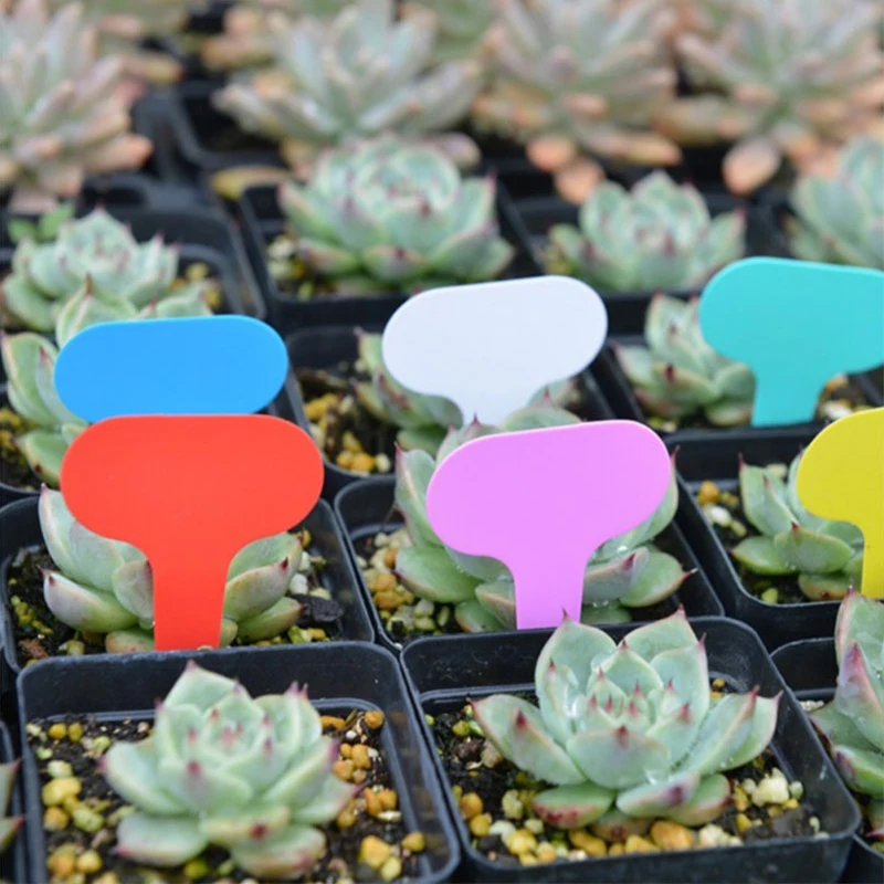 30/50/100pcs Garden Labels Plant Classification Sorting Sign Tag Ticket Plastic Writing Plate Board Plug In Card Colorful