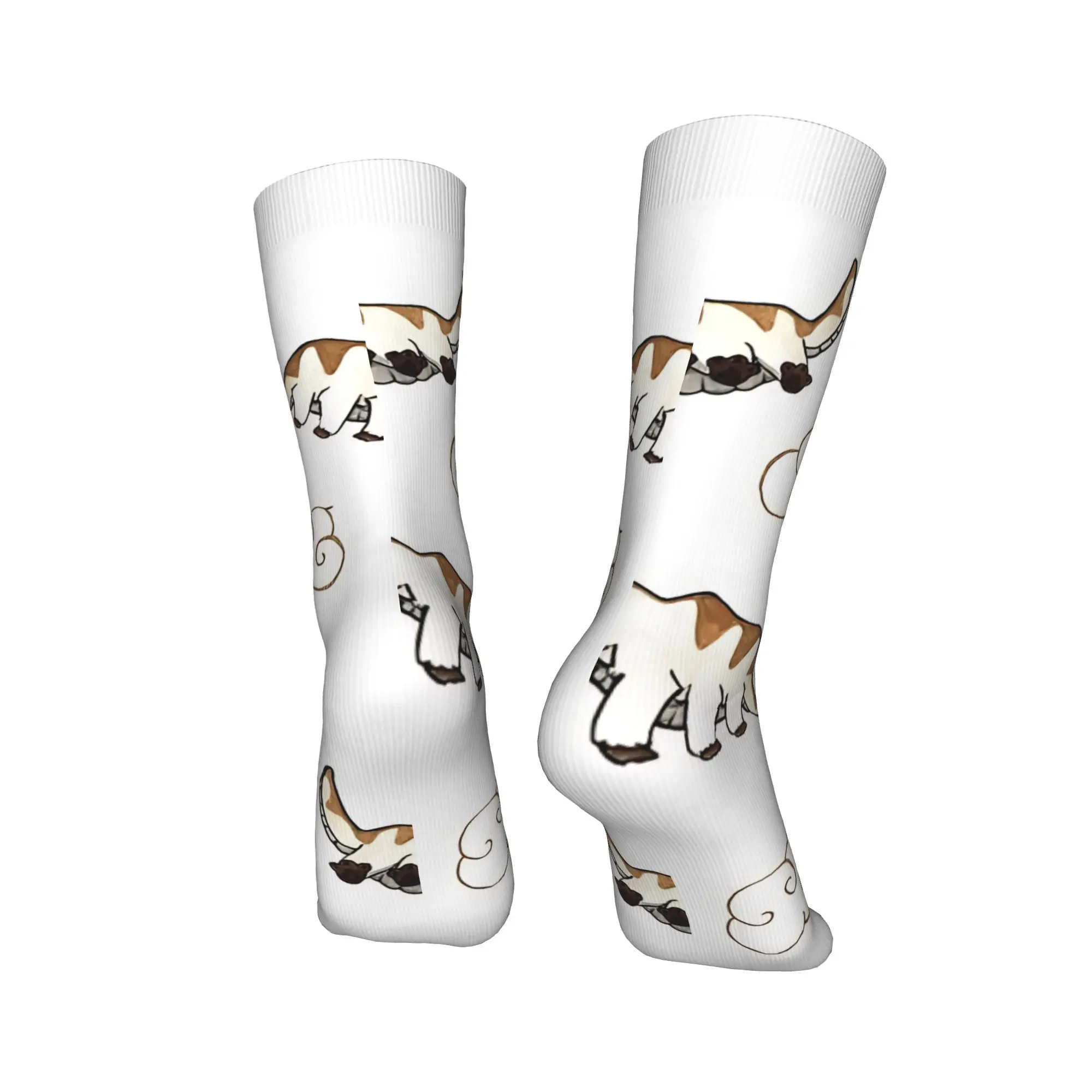 سعيد أبا الرمزية آخر جوارب Airbender الجرافيك الرجعية الجوارب الخريف عدم الانزلاق الجوارب الرجال في الهواء الطلق لينة تنفس الجوارب