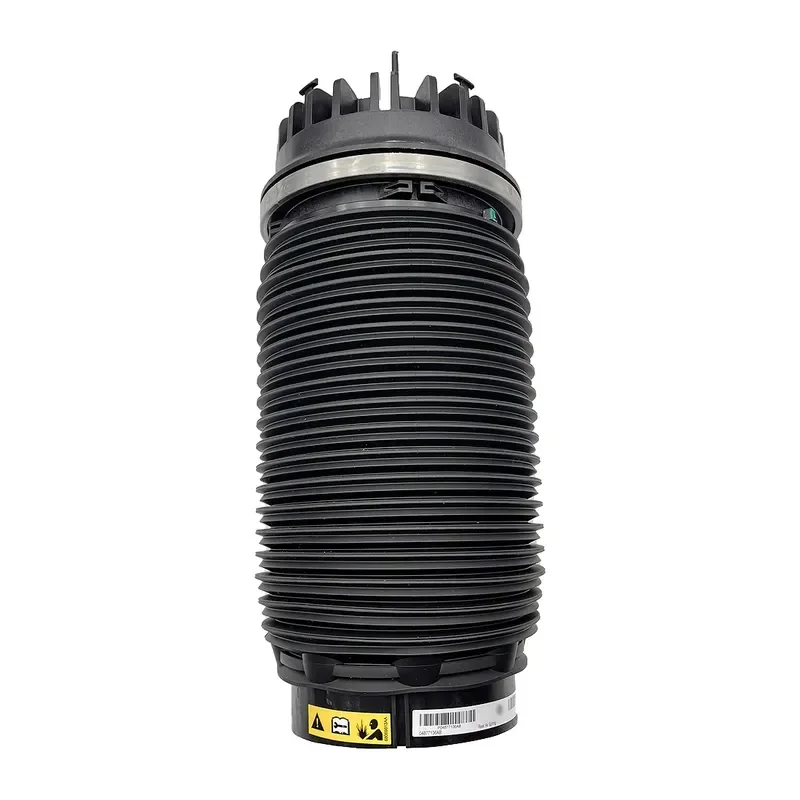 New Rear Air Suspension Spring Assembly for 4877136AB for 1500 Pickup 2001–2008 04877136AB 4877136