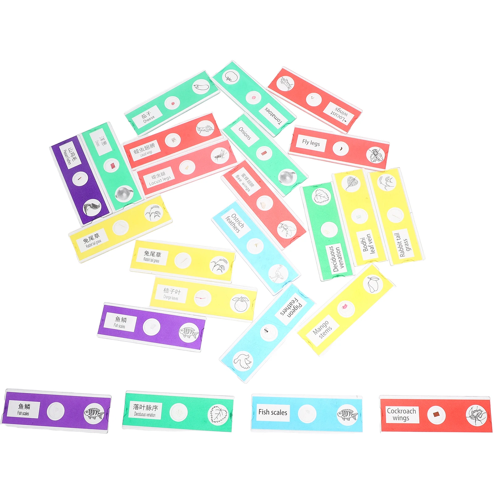 24 stuks voorbereide microscoopglaasjes educatieve set biologische exemplaren dieren insecten planten bloemen wetenschapsexperiment