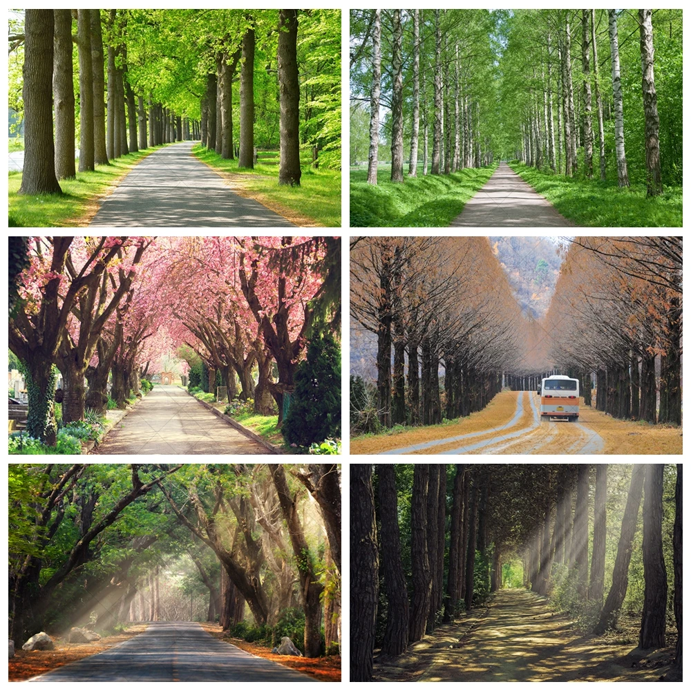 

Park Forest Path Theme Photography Backdrops Trees and Flowers Avenue Portrait Photo Studio Background DS-01