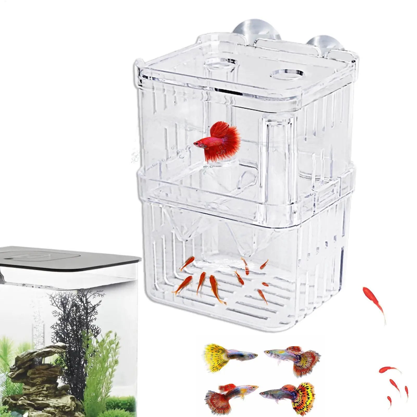Acrylic Fish Breeding Isolation Box Betta Fish Isolation Box Hatching Box Peacocks Fish Tropical Fish Ovipositor