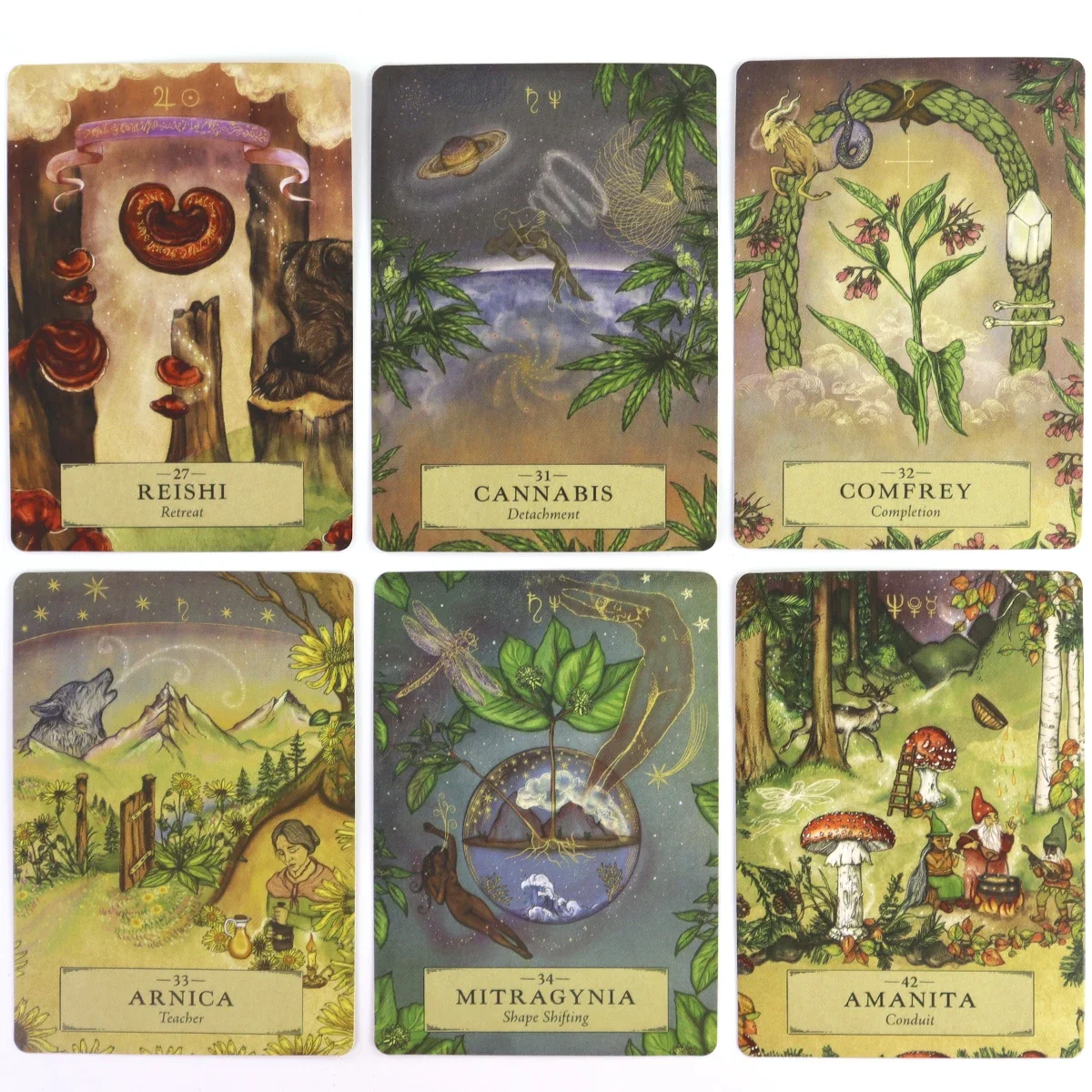 The Herbal Astrology Oracle Cards Deck giochi di mazzo di tarocchi Oracle Deck divinazione Party Desktop Toy Entertainment Leisure 18 +