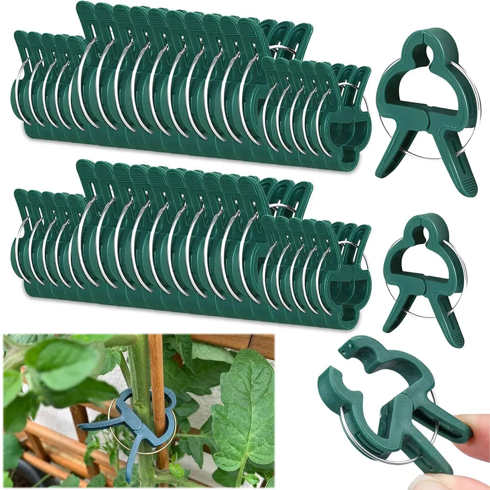 

Фиксированные зажимы для растений, многоразовый кронштейн для садовой теплицы для фиксированных растений, рассады цветов, помидоров, опорная рамка, садовые принадлежности